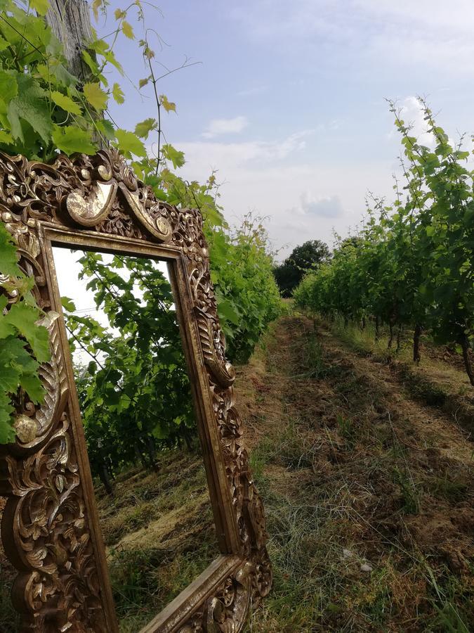 Akademija Grasevine Hotel Kutjevo Esterno foto